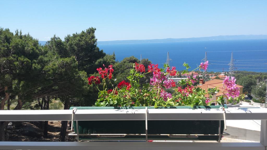 Apartments Cepo Makarska Dış mekan fotoğraf