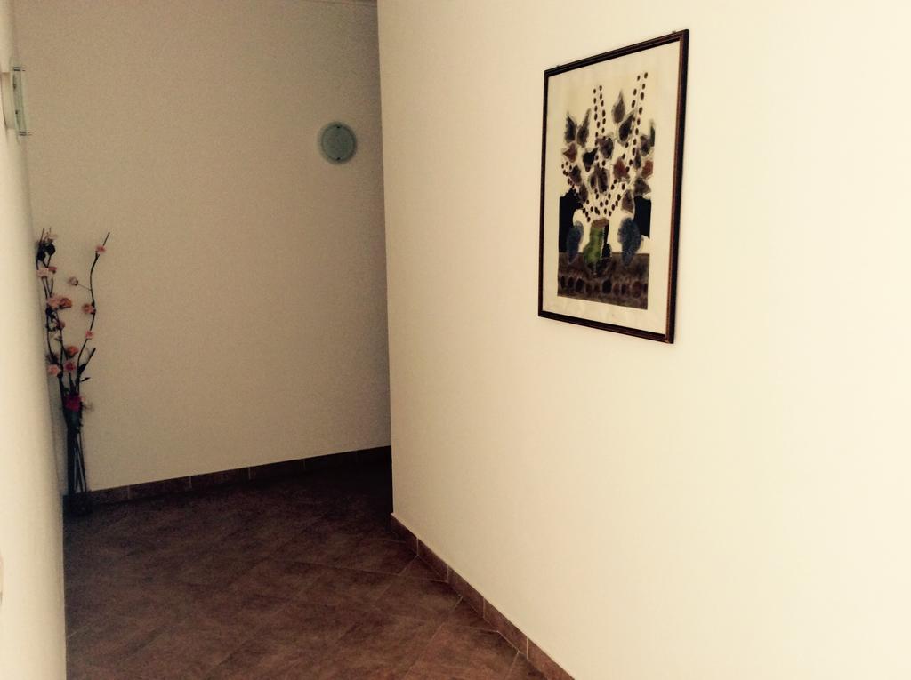 Apartments Cepo Makarska Dış mekan fotoğraf