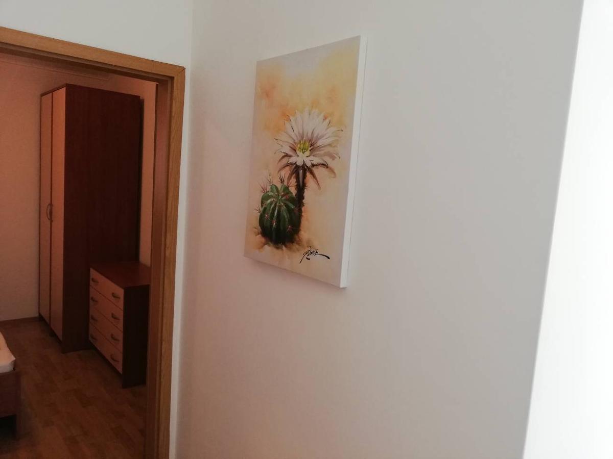 Apartments Cepo Makarska Dış mekan fotoğraf
